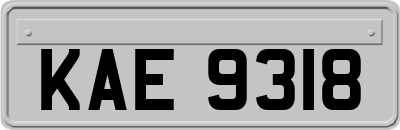 KAE9318