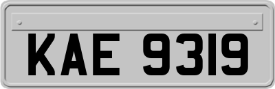 KAE9319