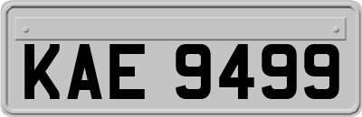 KAE9499