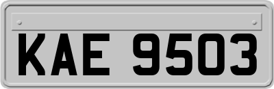 KAE9503