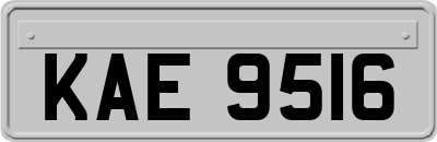 KAE9516
