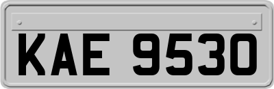 KAE9530