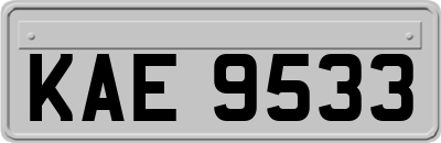 KAE9533