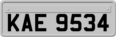 KAE9534