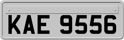 KAE9556