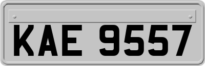 KAE9557