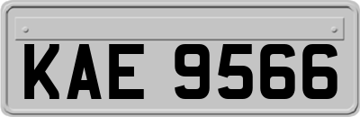 KAE9566