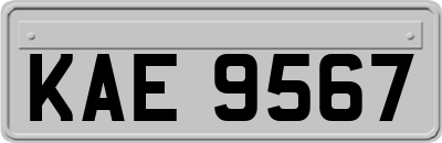 KAE9567