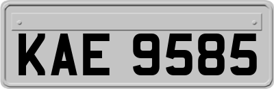 KAE9585