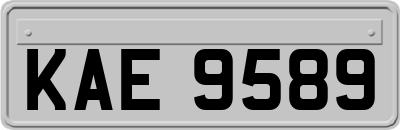 KAE9589