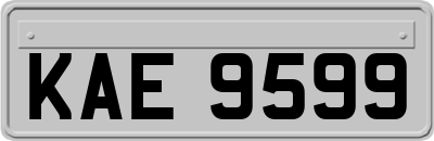 KAE9599