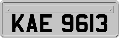 KAE9613