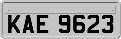 KAE9623