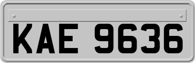 KAE9636