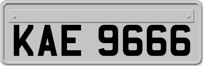 KAE9666