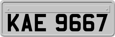 KAE9667