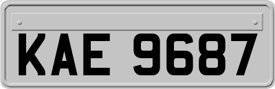 KAE9687