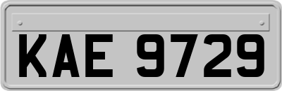 KAE9729