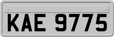 KAE9775