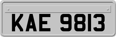 KAE9813