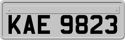 KAE9823