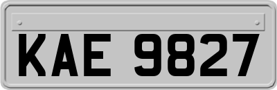 KAE9827