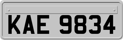 KAE9834