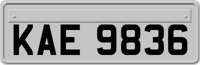 KAE9836
