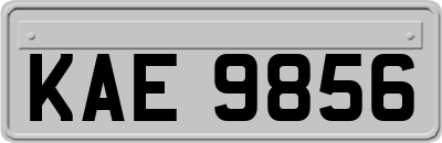 KAE9856