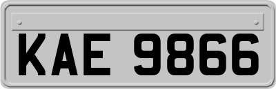 KAE9866