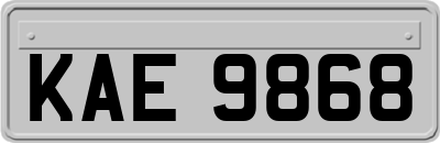 KAE9868