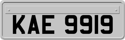 KAE9919