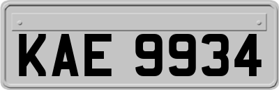 KAE9934