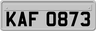 KAF0873