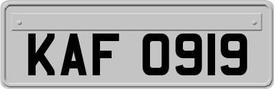 KAF0919