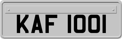 KAF1001