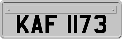 KAF1173