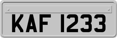 KAF1233