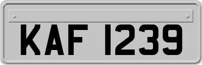 KAF1239
