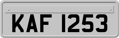 KAF1253