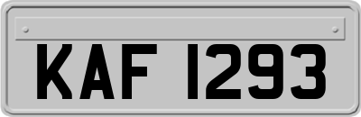 KAF1293