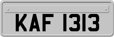 KAF1313