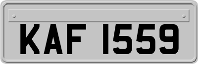 KAF1559