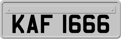 KAF1666