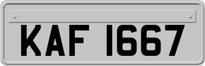 KAF1667