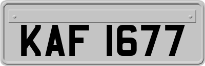 KAF1677
