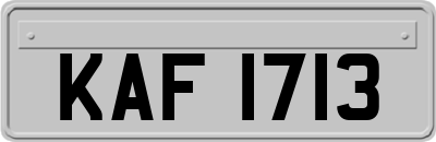 KAF1713