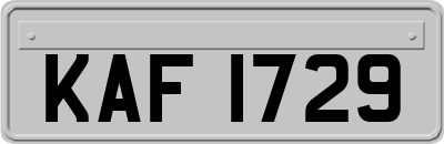 KAF1729