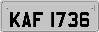 KAF1736