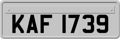 KAF1739